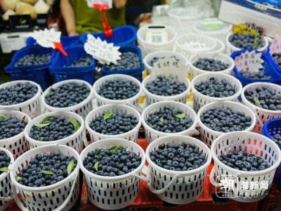 ​变大，变便宜！杭城超市这一蓝色国产水果火了，网友：大把大把塞嘴里